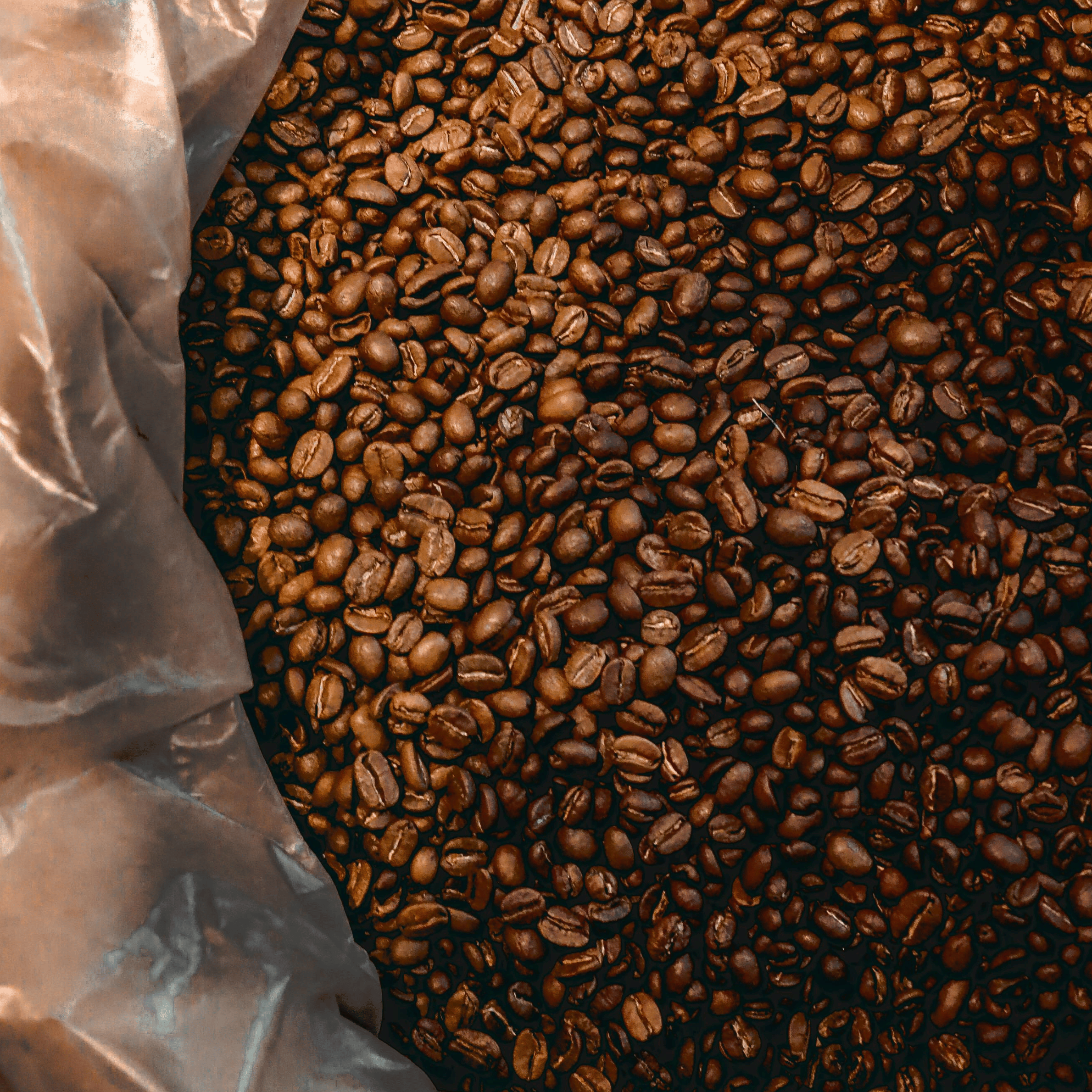 Friskristede kaffebønner ristet i små batches med fokus på aroma og smag