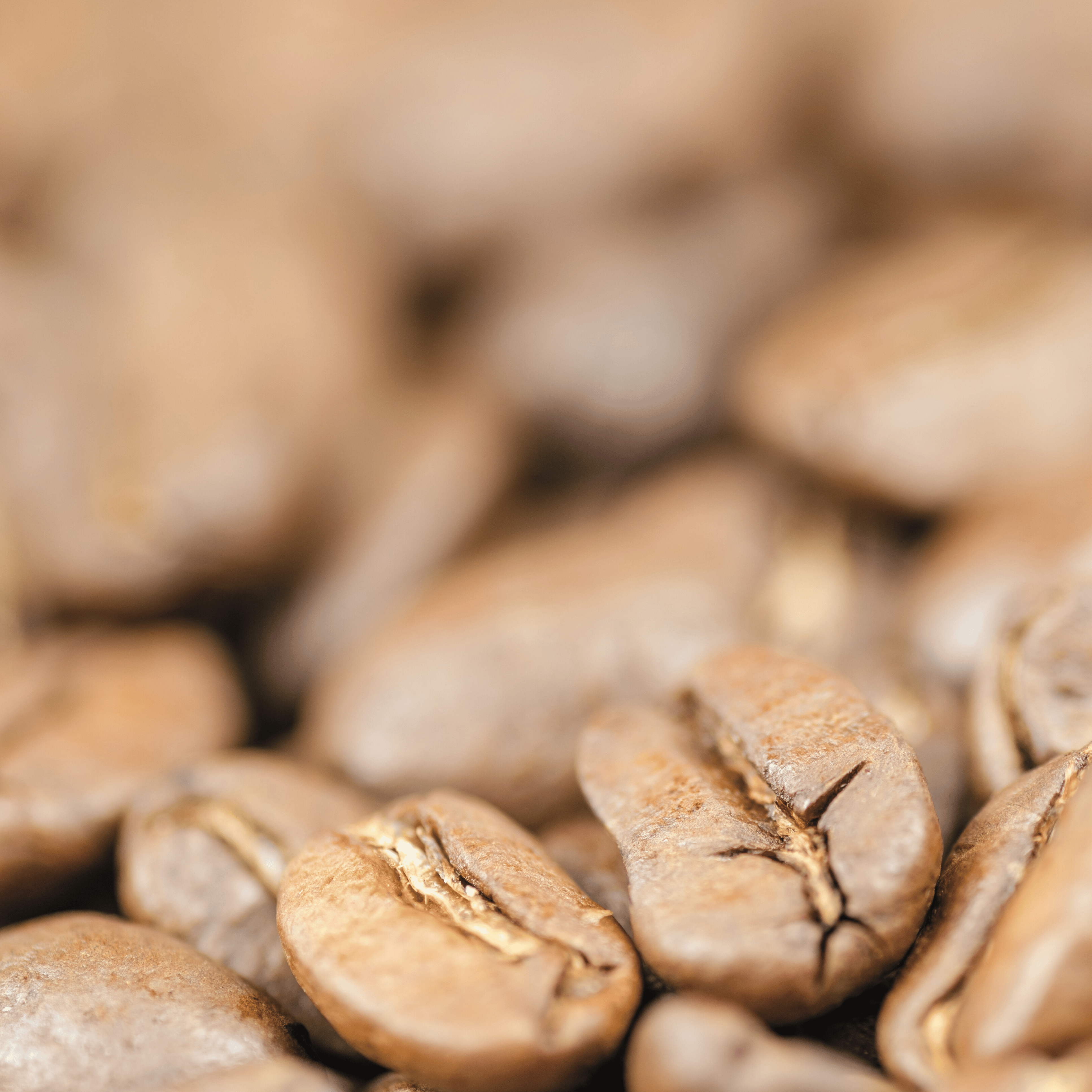 Friskristede kaffebønner sammenlignet med pakket supermarkedskaffe