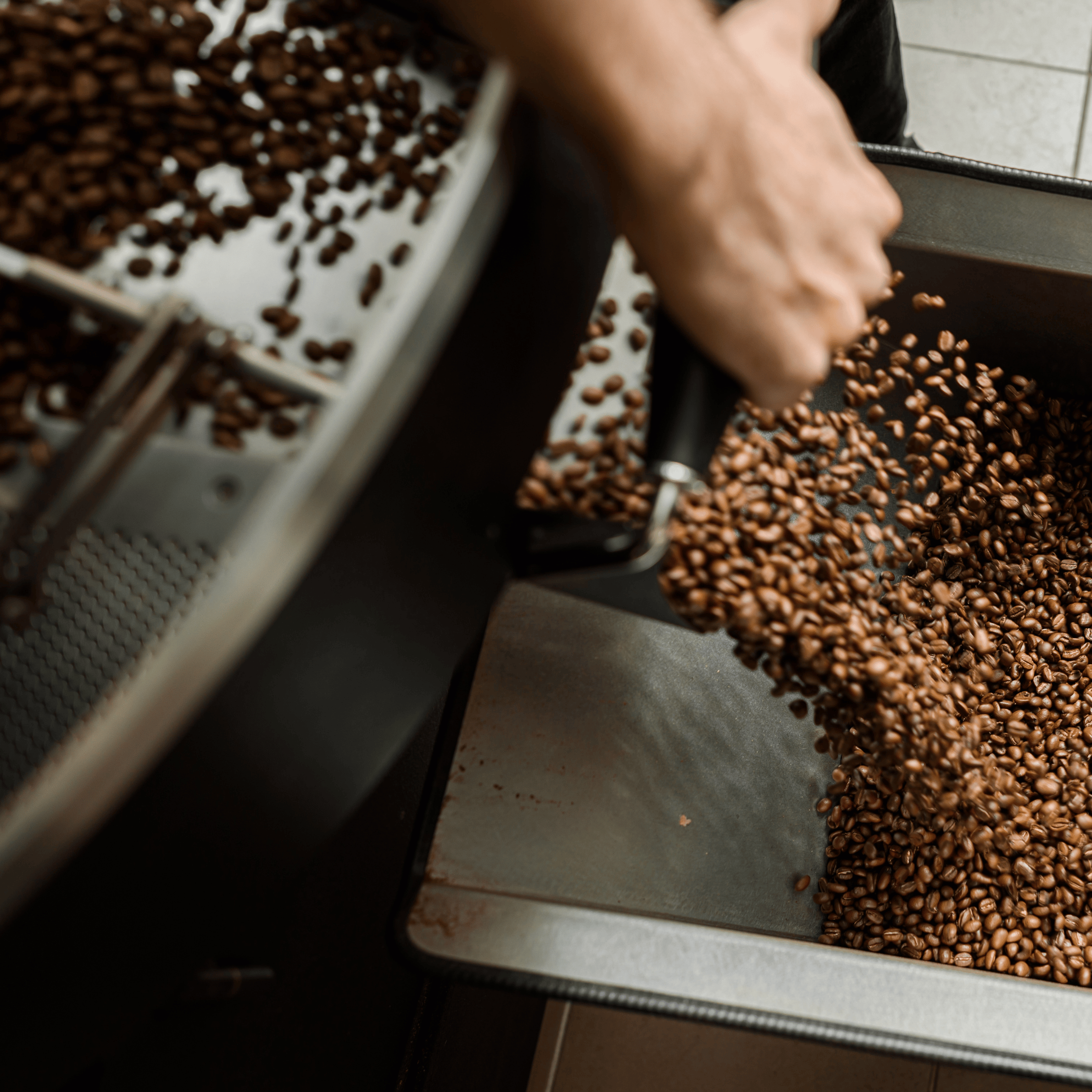 Single origin kaffebønner fra én oprindelse med fokus på smag og sporbarhed