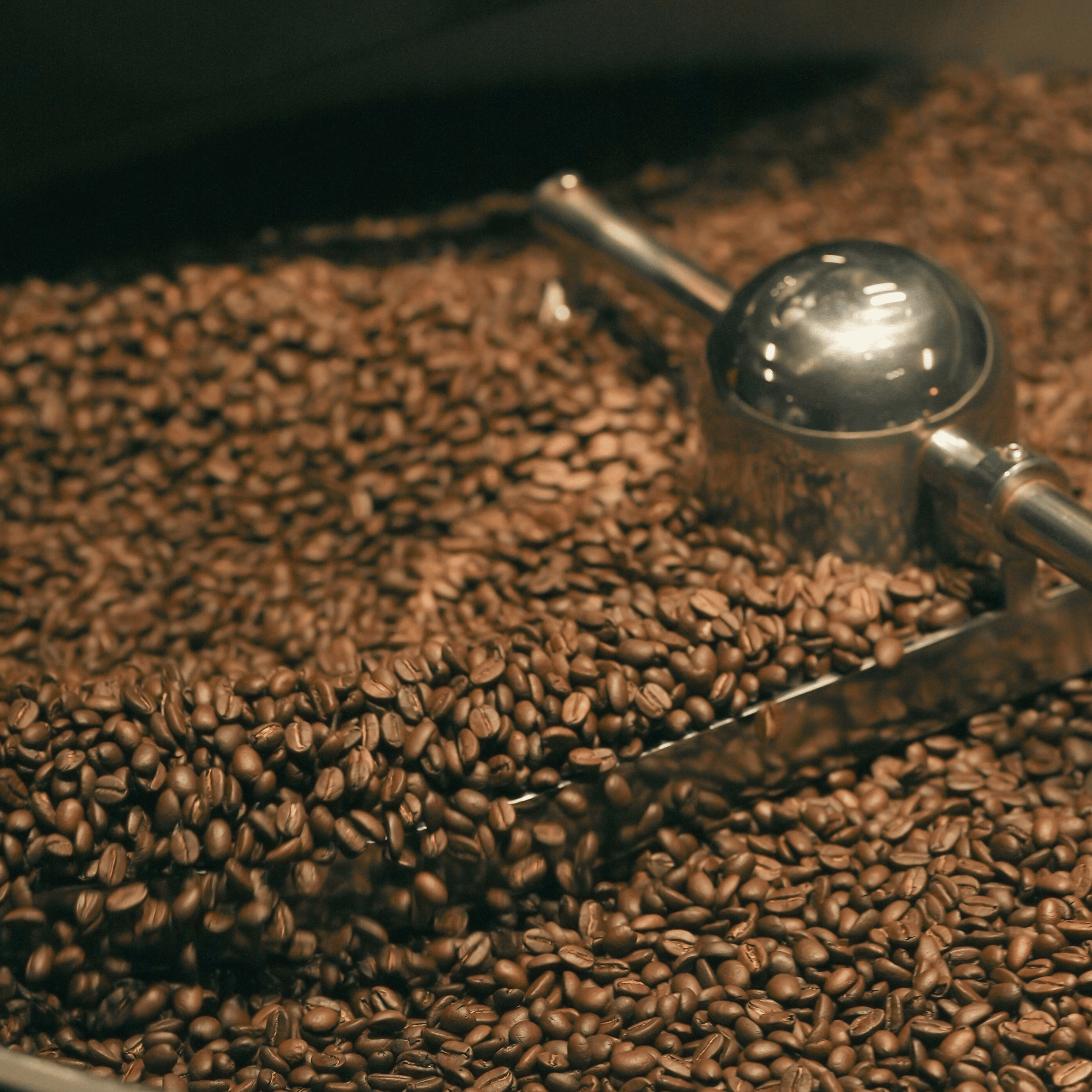 Kaffebønner opbevaret korrekt i pose med CO₂-ventil og genanvendelig lynlås