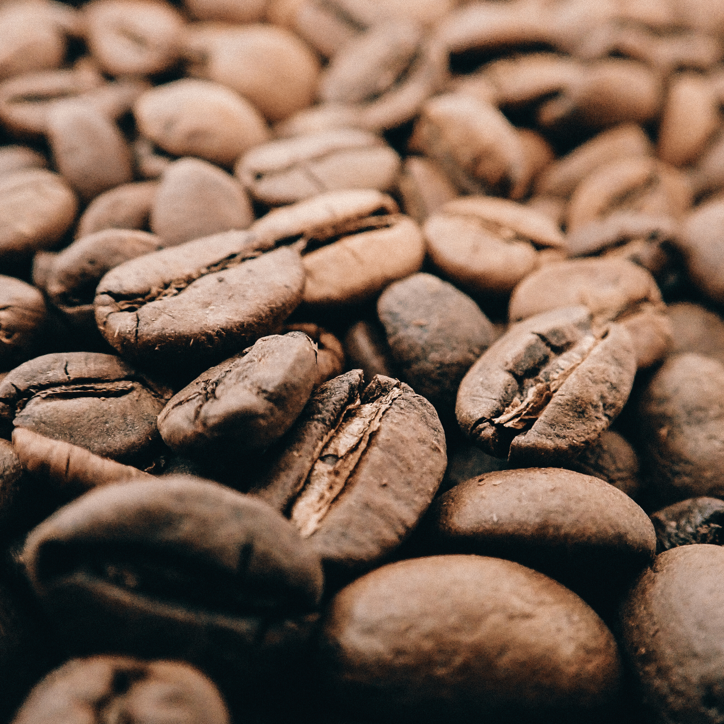Kaffe doseres med vægt for korrekt forhold mellem kaffe og vand ved brygning.