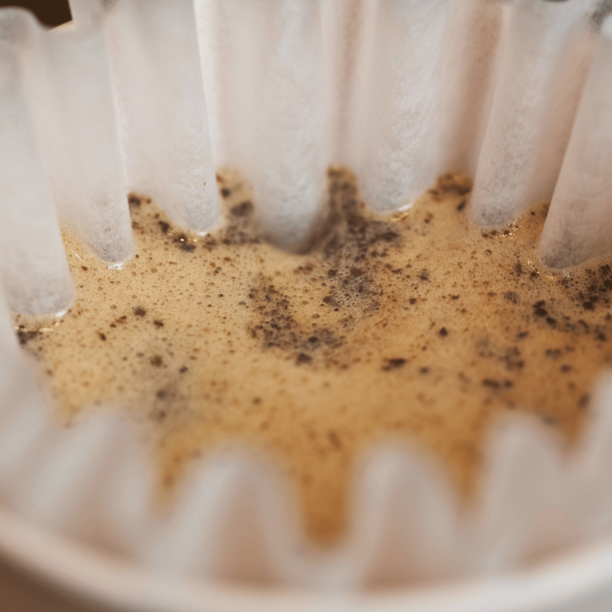 Kalita Wave pour over brygning med friskkværnet kaffe og kontrolleret hældning