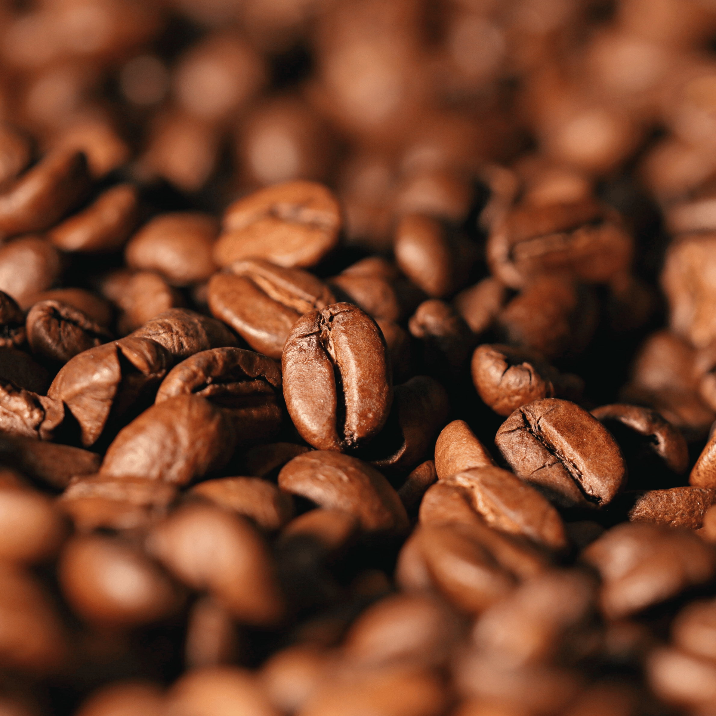 Gamle og friske kaffebønner sammenlignet for at vise forskel i friskhed og aroma