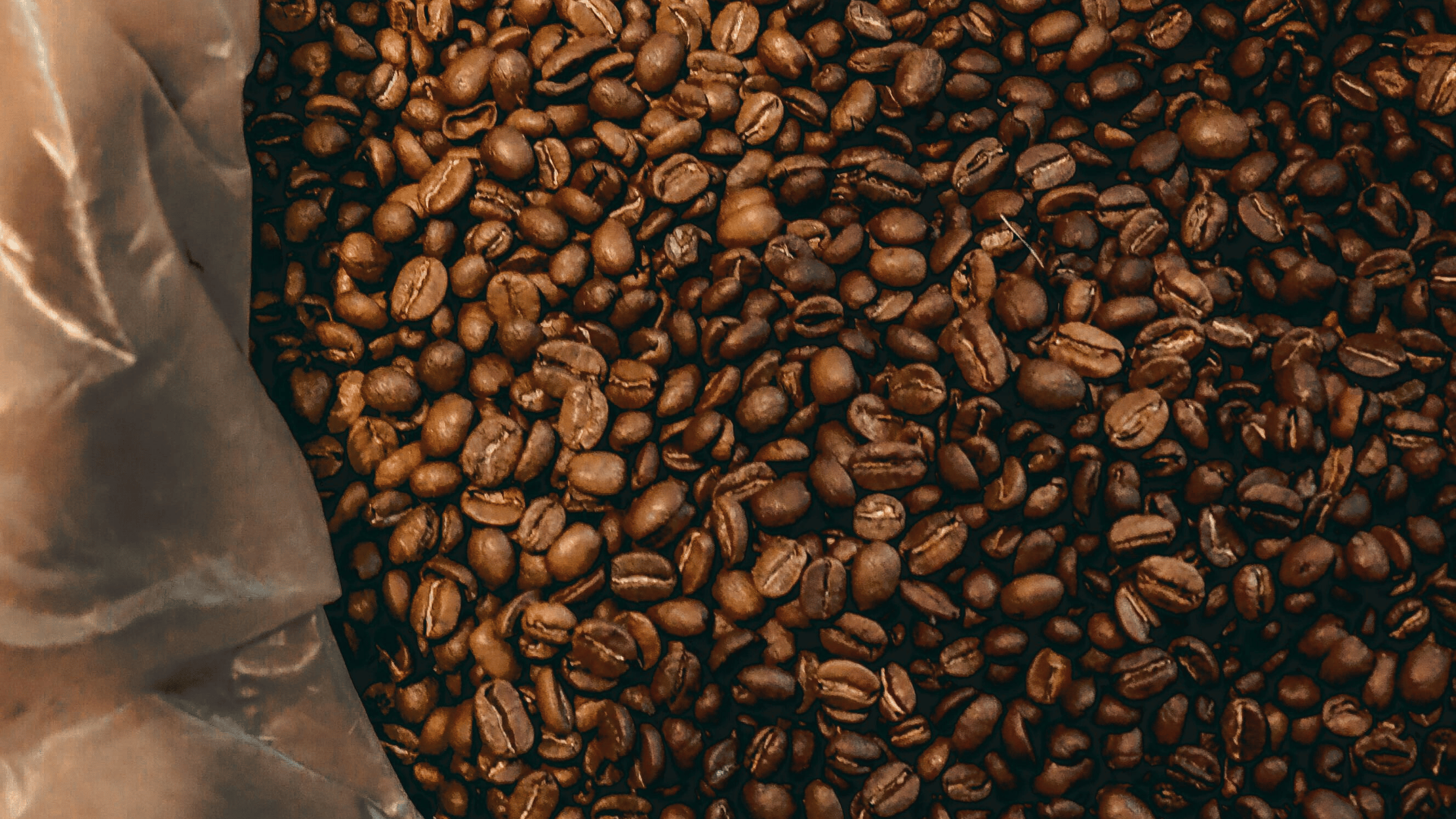 Friskristede kaffebønner ristet i små batches med fokus på aroma og smag
