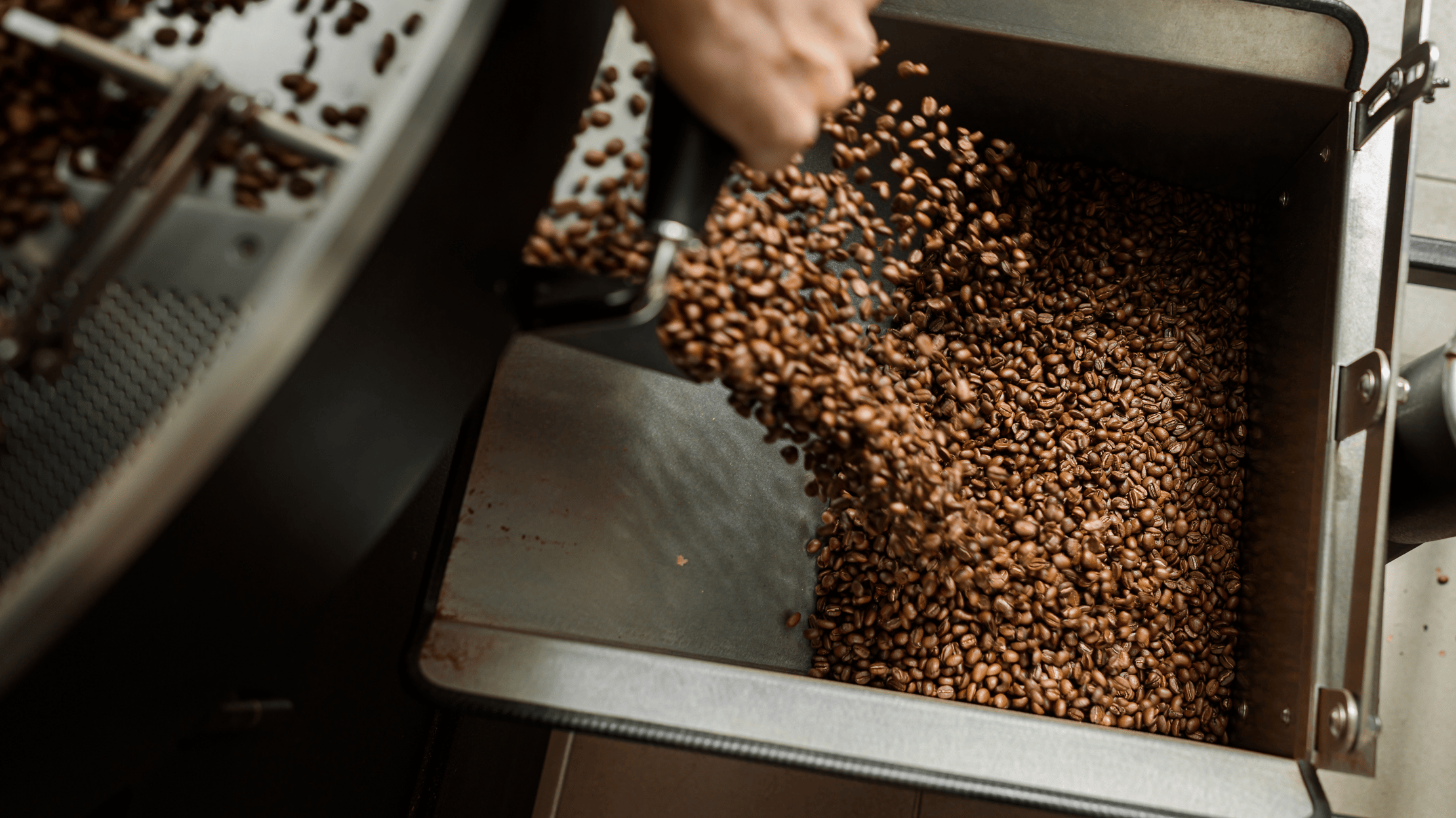 Single origin kaffebønner fra én oprindelse med fokus på smag og sporbarhed