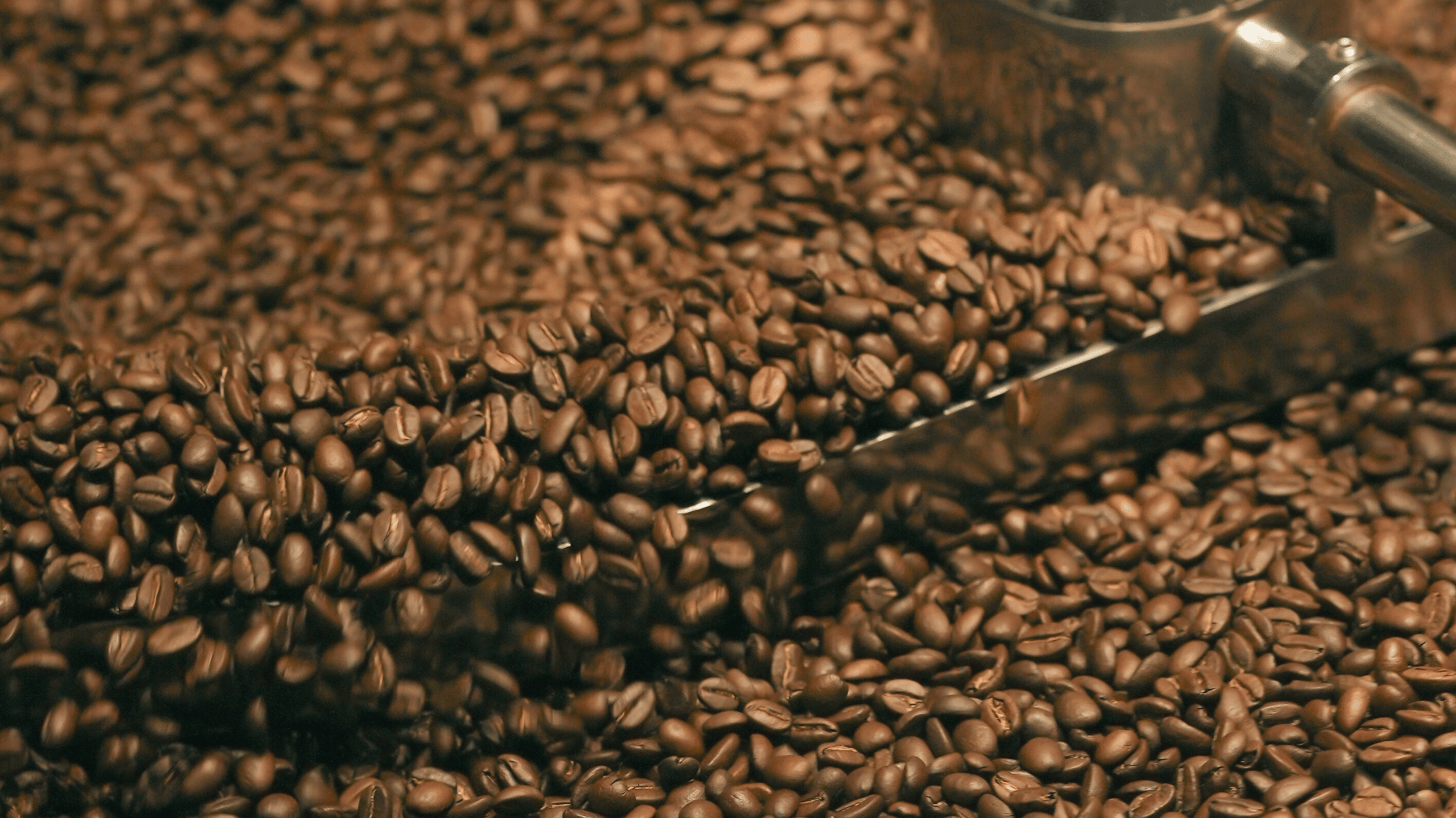 Kaffebønner opbevaret korrekt i pose med CO₂-ventil og genanvendelig lynlås