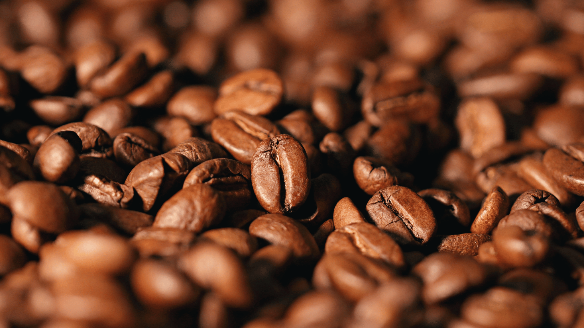 Gamle og friske kaffebønner sammenlignet for at vise forskel i friskhed og aroma
