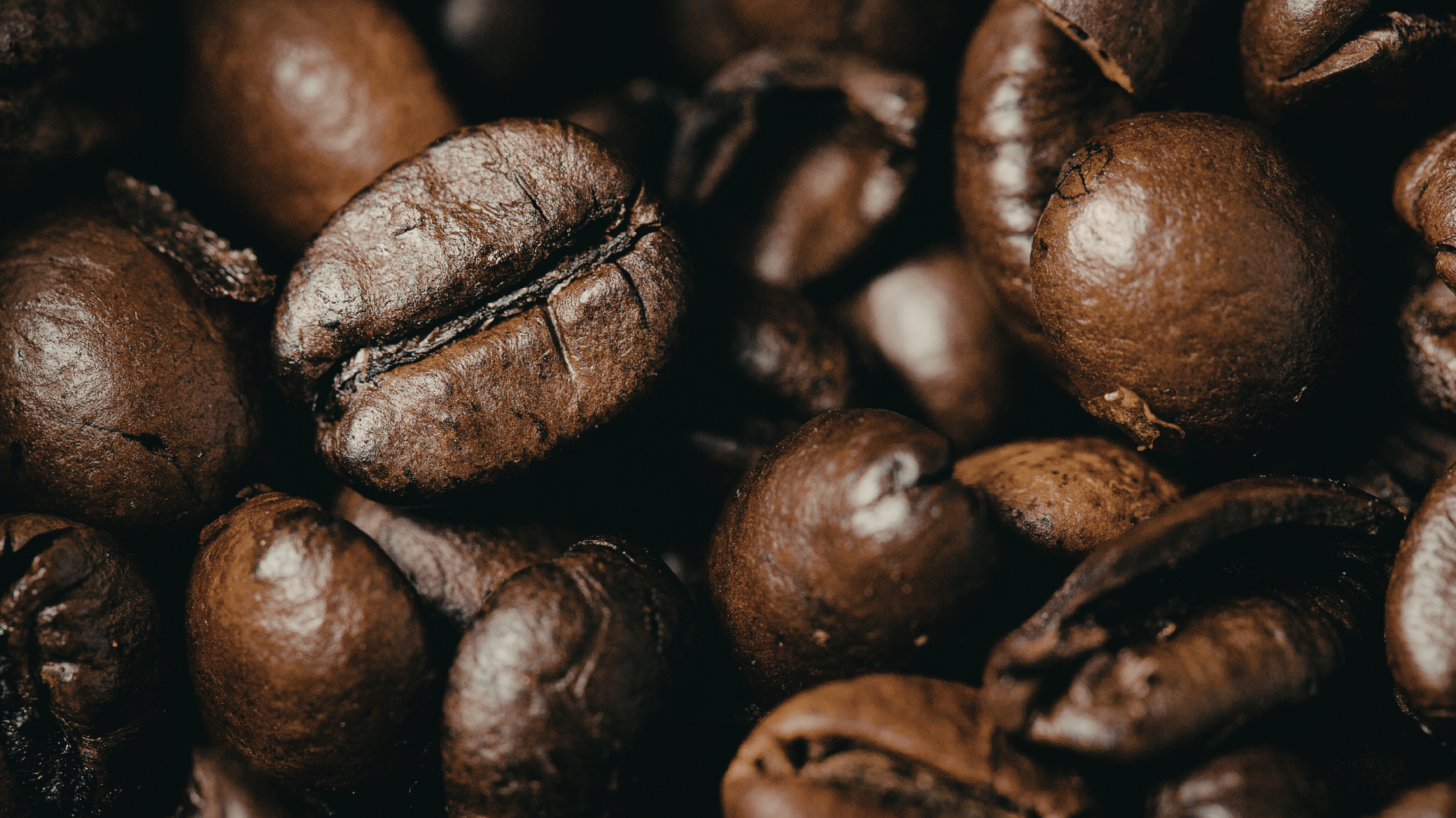 Kaffebønner i lysristet, mellemristet og mørkristet ristning vist side om side.