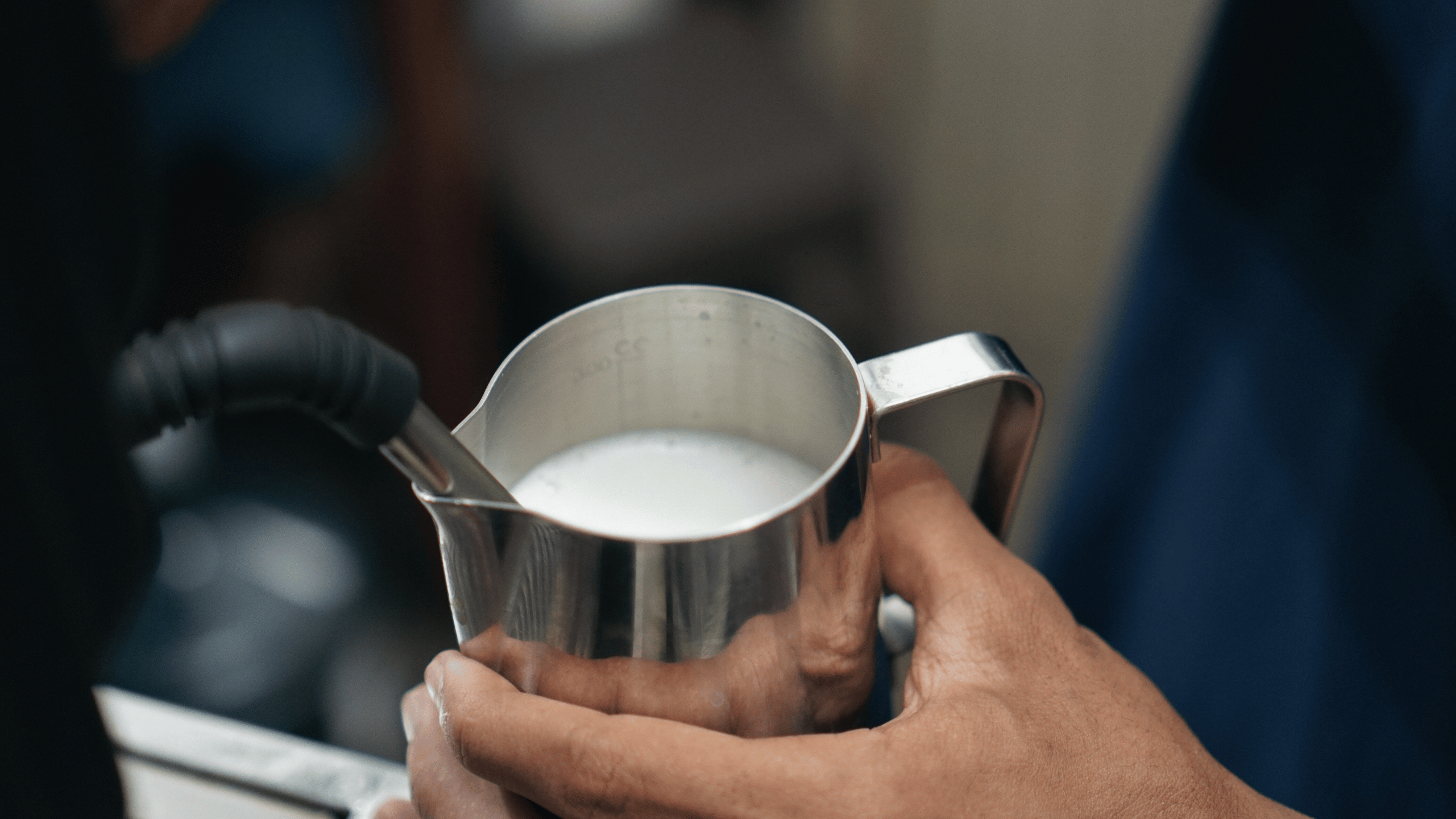 Mælk steames på espressomaskine med dampstav for at skabe silkeblød mikrofoam.