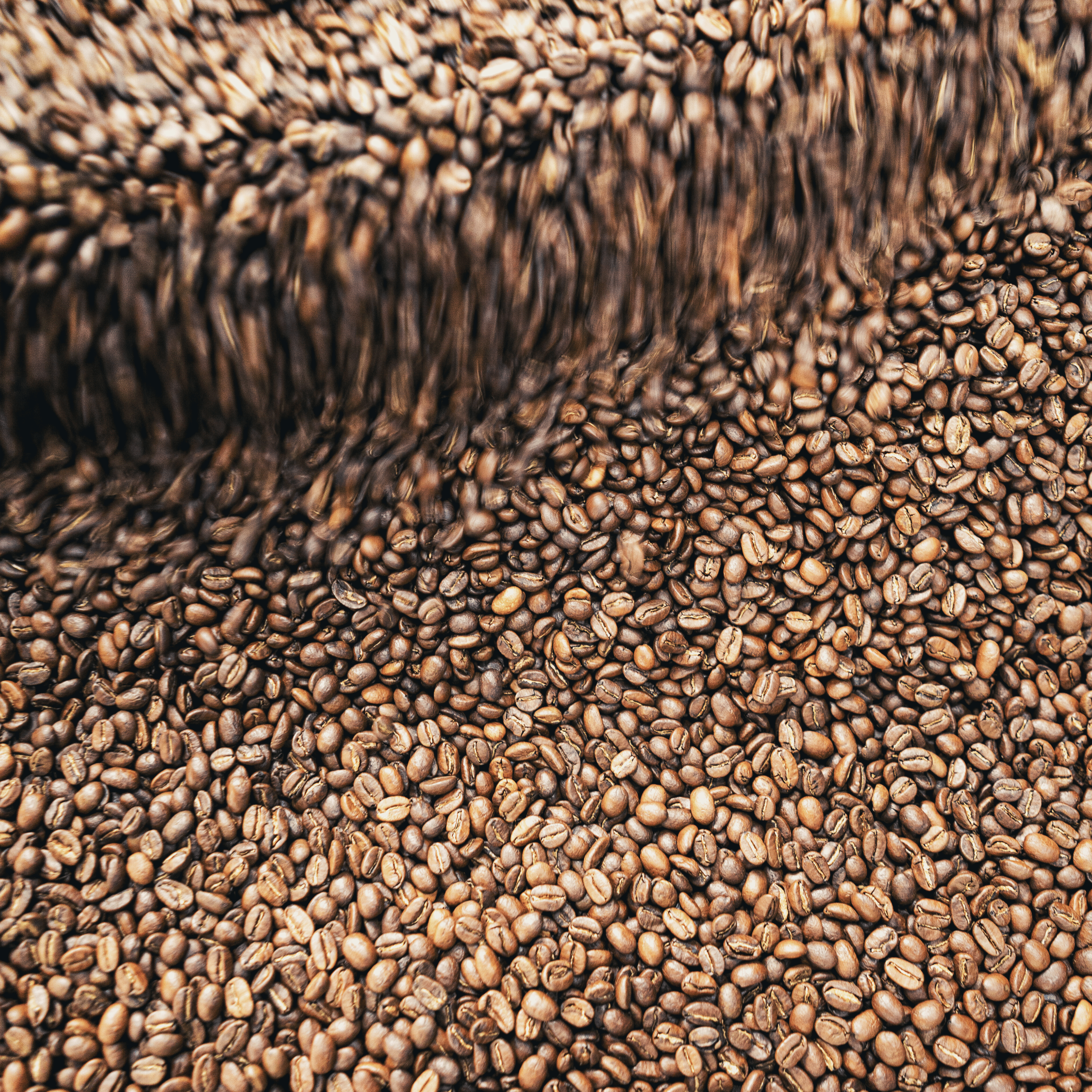 Friskristet mellemristet kaffe fra GITZ COFFEE, 100 % Arabica bønner med balanceret smagsprofil og noter af karamel og nødder, egnet til espresso, filterkaffe og stempelkande.