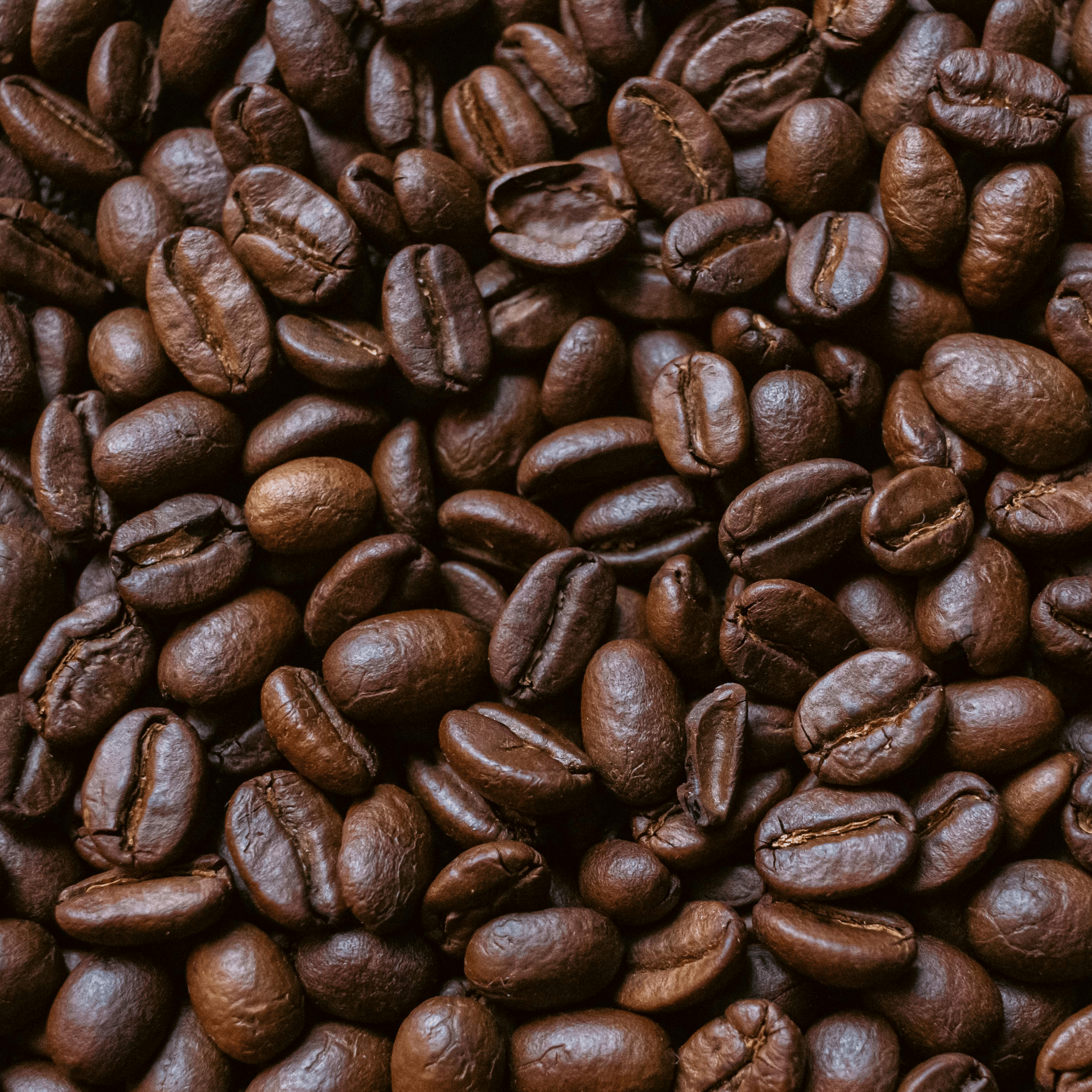 Friskristet mørkristet kaffe fra GITZ COFFEE, 100 % Arabica bønner med fyldig smag og chokoladeagtige noter, ideel til espresso og mælkebaserede kaffedrikke.