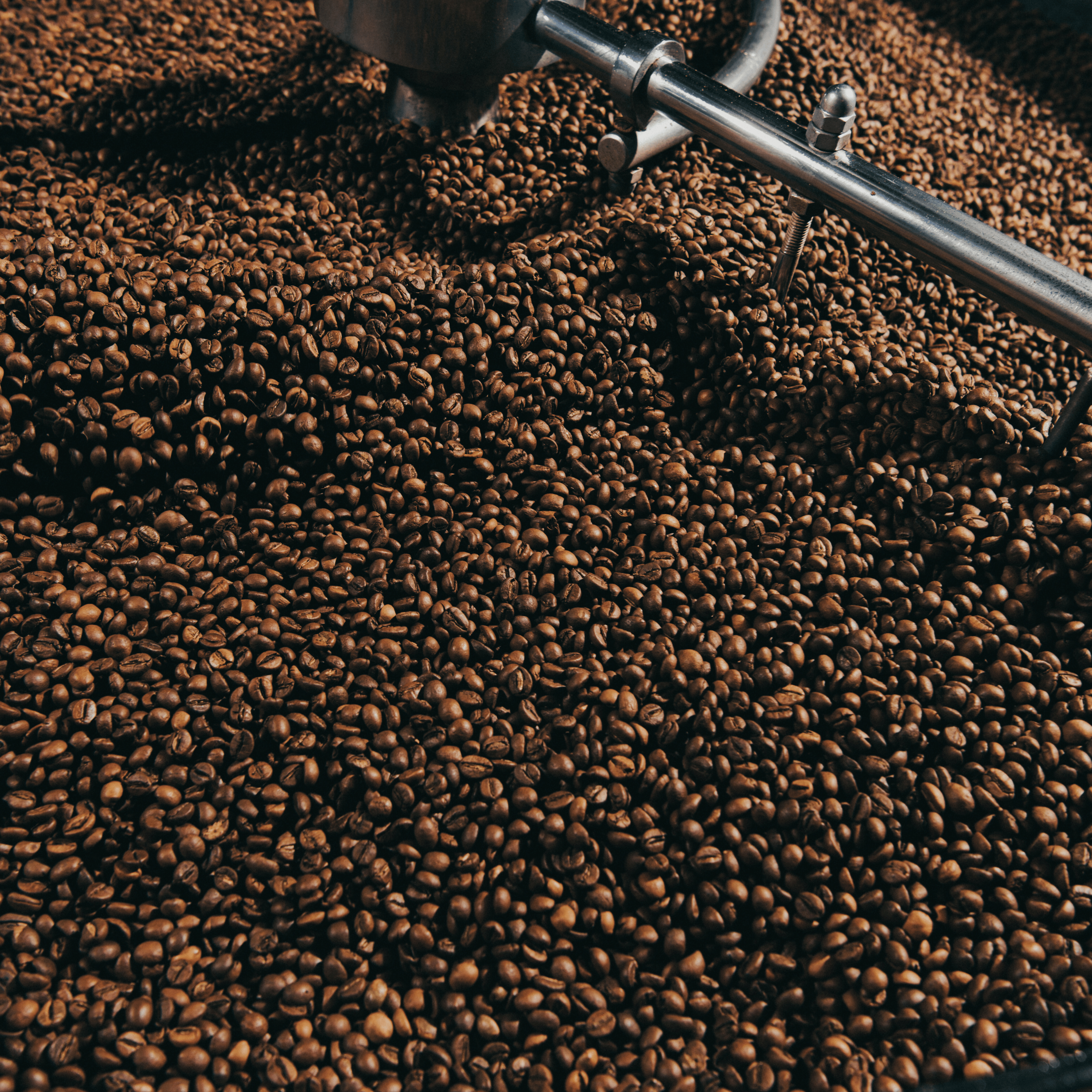 Friskristede kaffebønner kort tid efter ristning